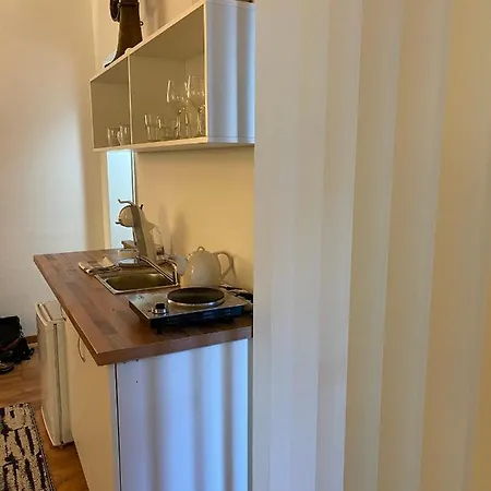 Apartament Savoya4 Old Center Self Checkin Workspacestudio Timişoara