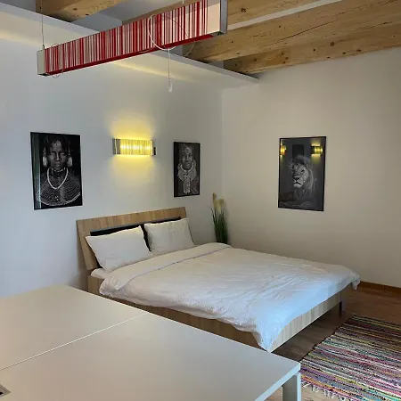 公寓 Savoya4 Old Center Self Checkin Workspacestudio