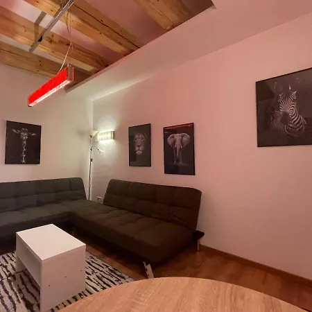 Savoya4 Old Center Self Checkin Workspacestudio * 蒂米什瓦拉