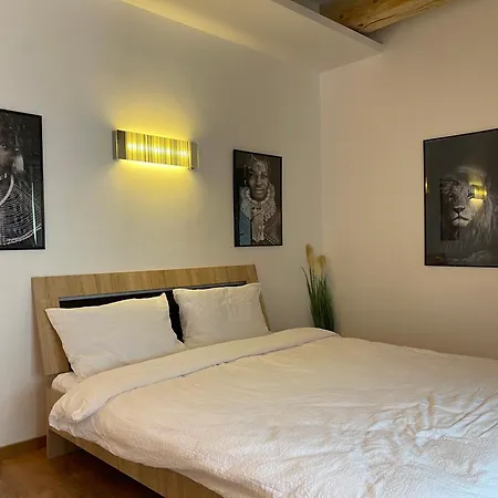 Savoya4 Old Center Self Checkin Workspacestudio 蒂米什瓦拉