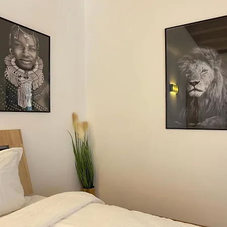 公寓 Savoya4 Old Center Self Checkin Workspacestudio 蒂米什瓦拉