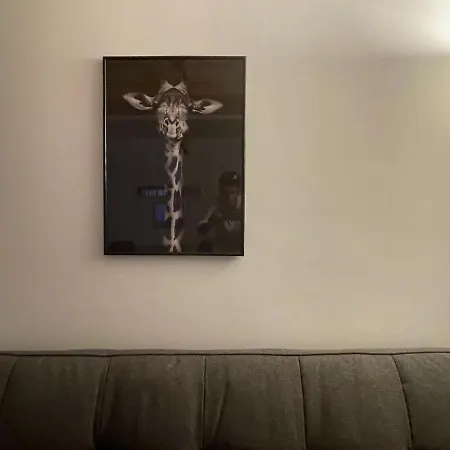 Savoya4 Old Center Self Checkin Workspacestudio * 蒂米什瓦拉