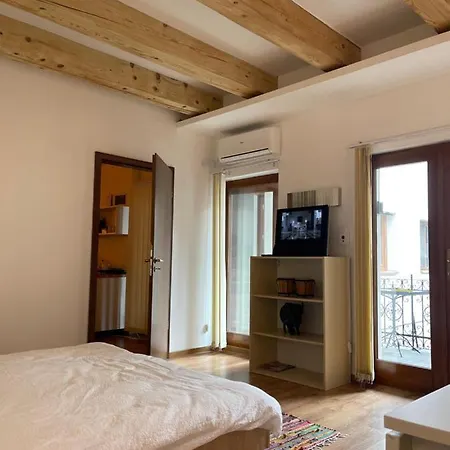 Savoya4 Old Center Self Checkin Workspacestudio 아파트 티미쇼아라