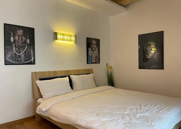 Savoya4 Old Center Self Checkin Workspacestudio Timişoara