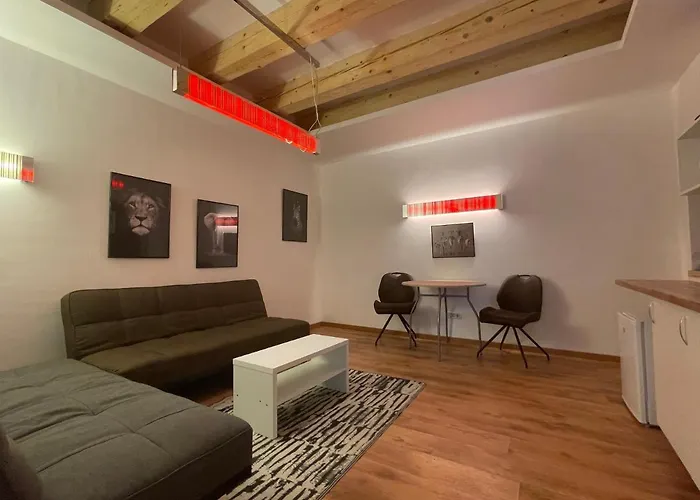 Savoya4 Old Center Self Checkin Workspacestudio Apartment