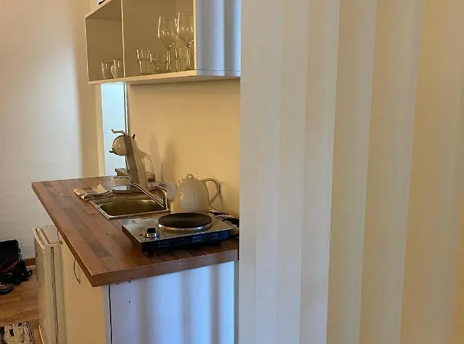 Apartamento Savoya4 Old Center Self Checkin Workspacestudio Timişoara