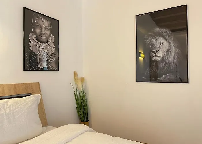 Apartamento Savoya4 Old Center Self Checkin Workspacestudio Timişoara