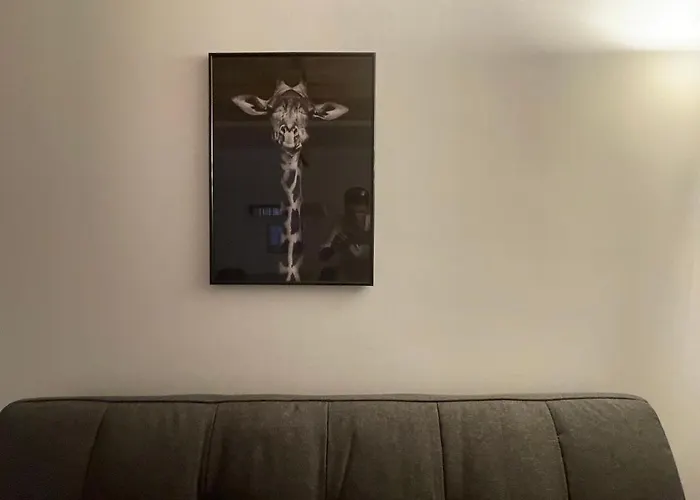 Savoya4 Old Center Self Checkin Workspacestudio * Timişoara